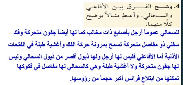 وضح الفرق بين الافاعي والسحالي واعط مثالا،ميز بين الافعي والسحلية 8674 1