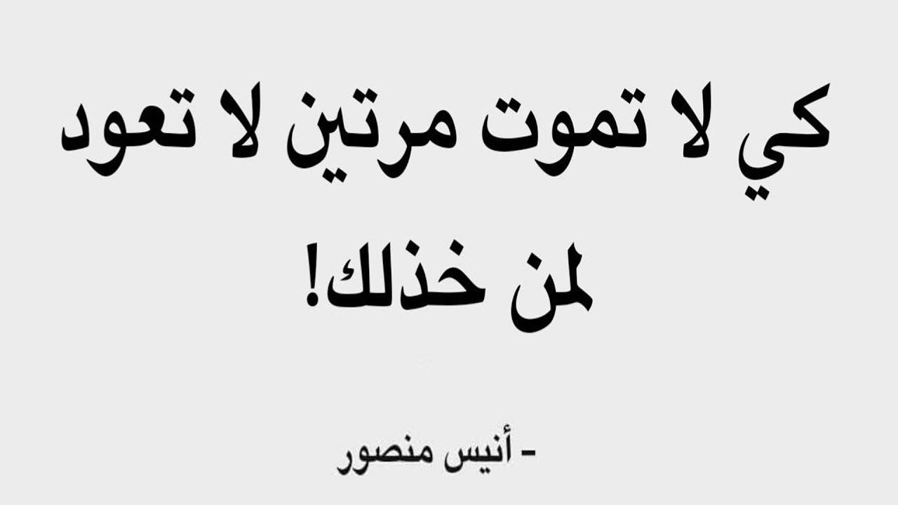 اقتباسات جميلة قصيرة عن الحياة، كلمات معبره عن الحياه 8638 3