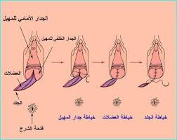 طريقة التمريخ بالبيت Unnamed File 2644