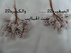 لعيون بلبل وعيونكم شجيرات بالخرز Unnamed File 330