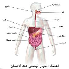 من مرة عليها حاله مثلي احس بالم في الجانب الايسر من البطن Unnamed File 2620