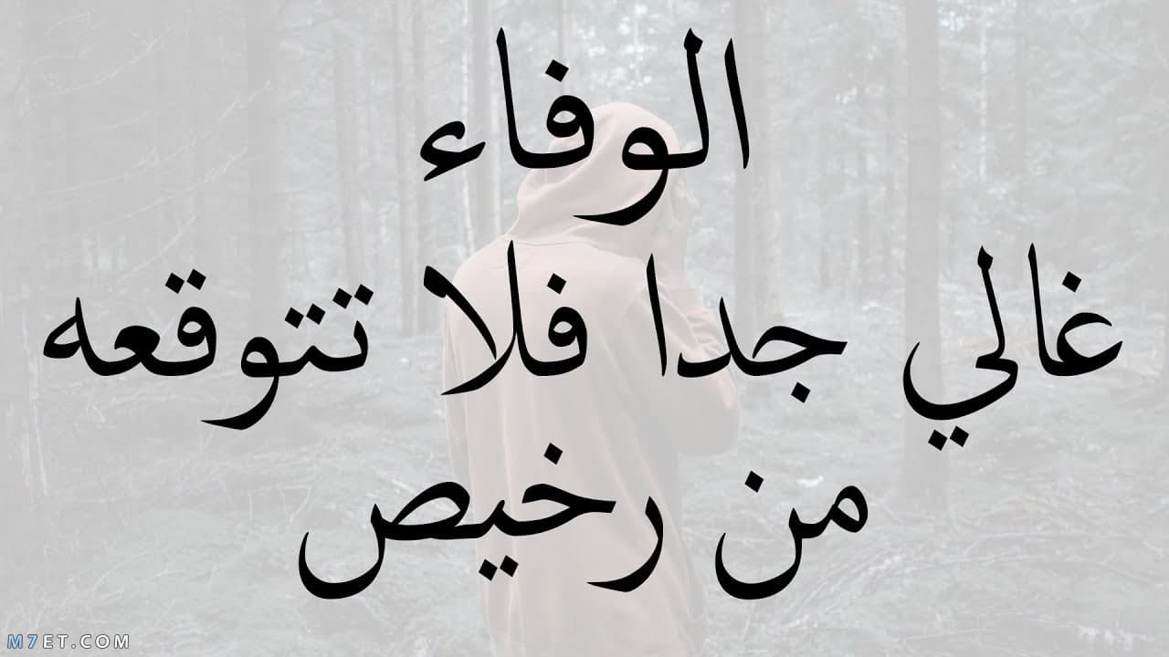 اقتباسات جميلة قصيرة عن الحياة، كلمات معبره عن الحياه 8638 7