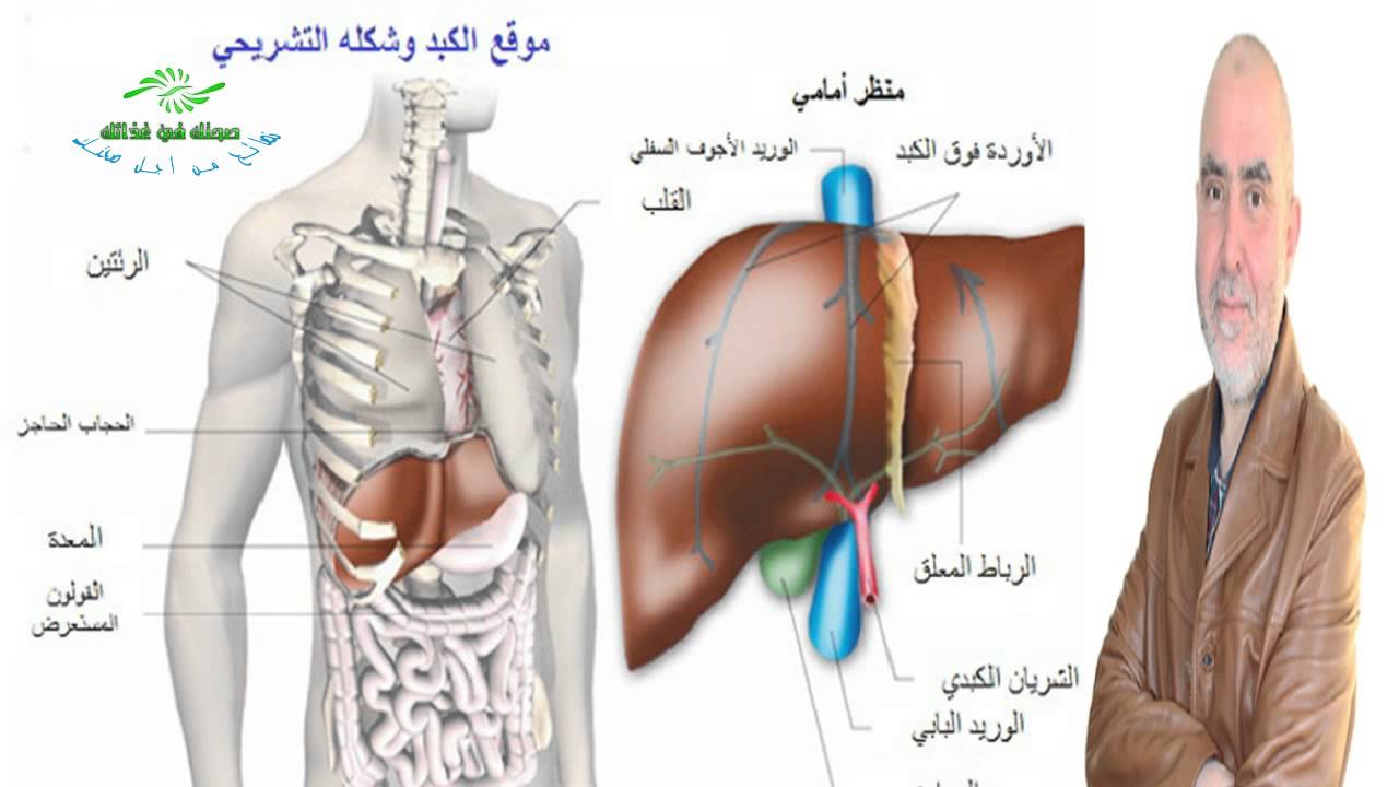 اعراض التهاب الكبد الفيروسي - امراض الكبد واعراضها 8313 1